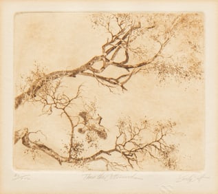 Sandy Scott, "Thru the Cottonwoods"