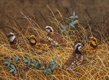 Bill Bristow, "Quail Family"
