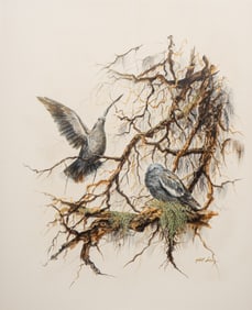 Gilbert Duran, Texas Doves
