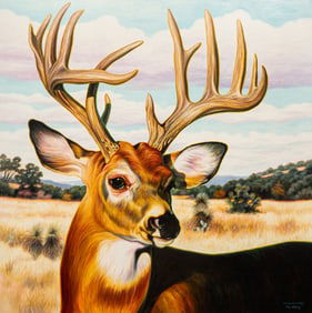 K. W. Whitley, "Hill Country Hidalgo"