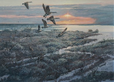 James Robinson, Canada Geese & Whitetail