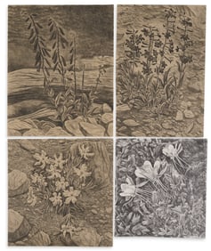 Exa Wall, (4) Texas Botanical Scenes
