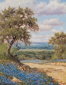 Robert Harrison, Bluebonnet Landscape
