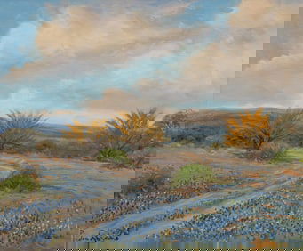 Pedro Lazcano, Hill Country Bluebonnets