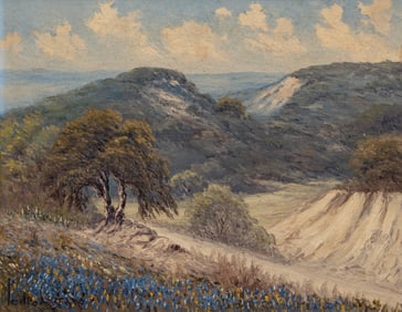 Pedro Lazcano, Bluebonnet Landscape
