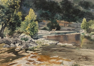 Ivan McDougal, Stag in Creekbed