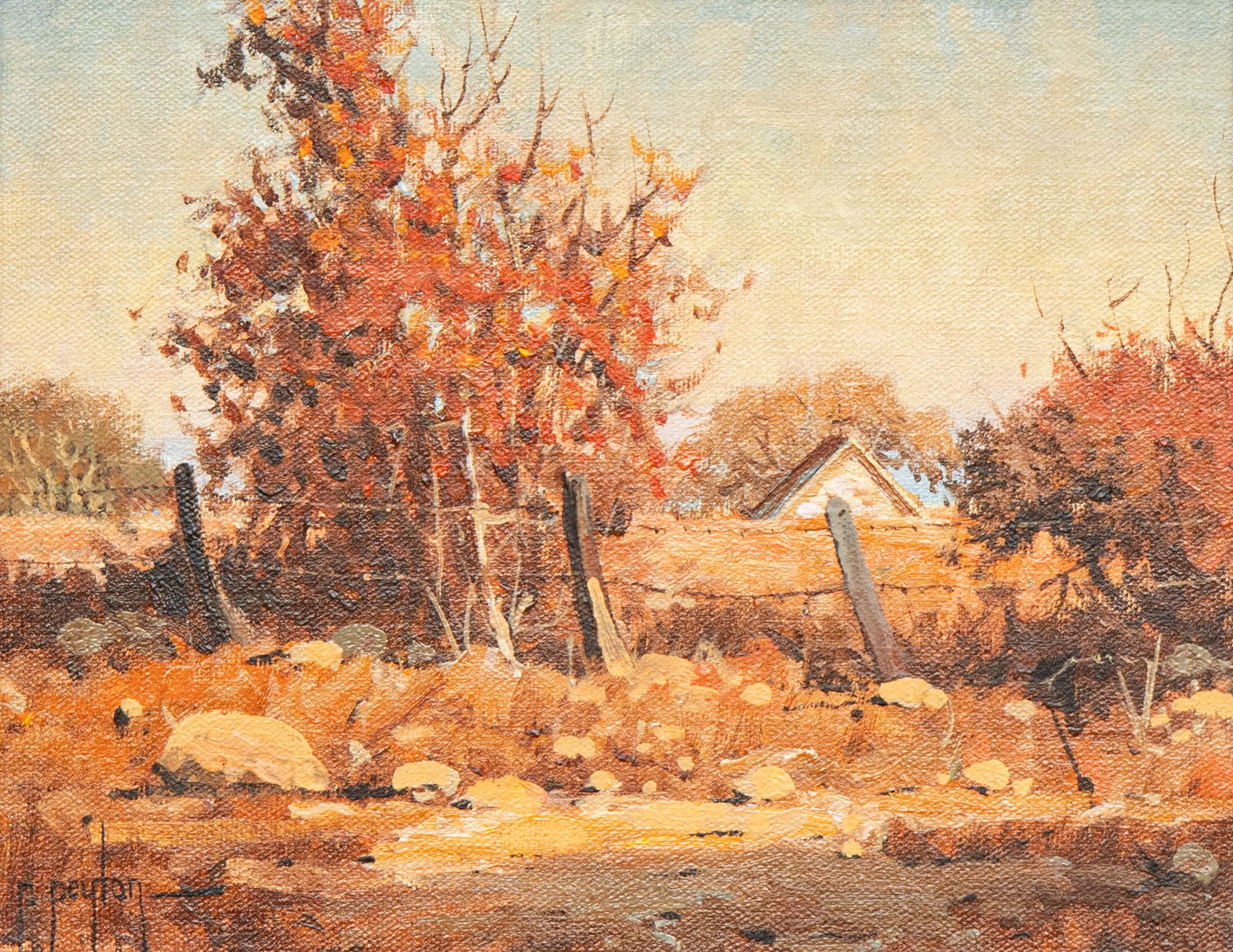 Randy Peyton, Autumn Fenceline (1 of 4)