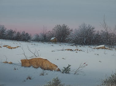Daniel Maldonado, Snowy Cabin