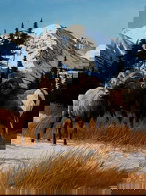 Gene Dodge, "Bighorn Sheep"