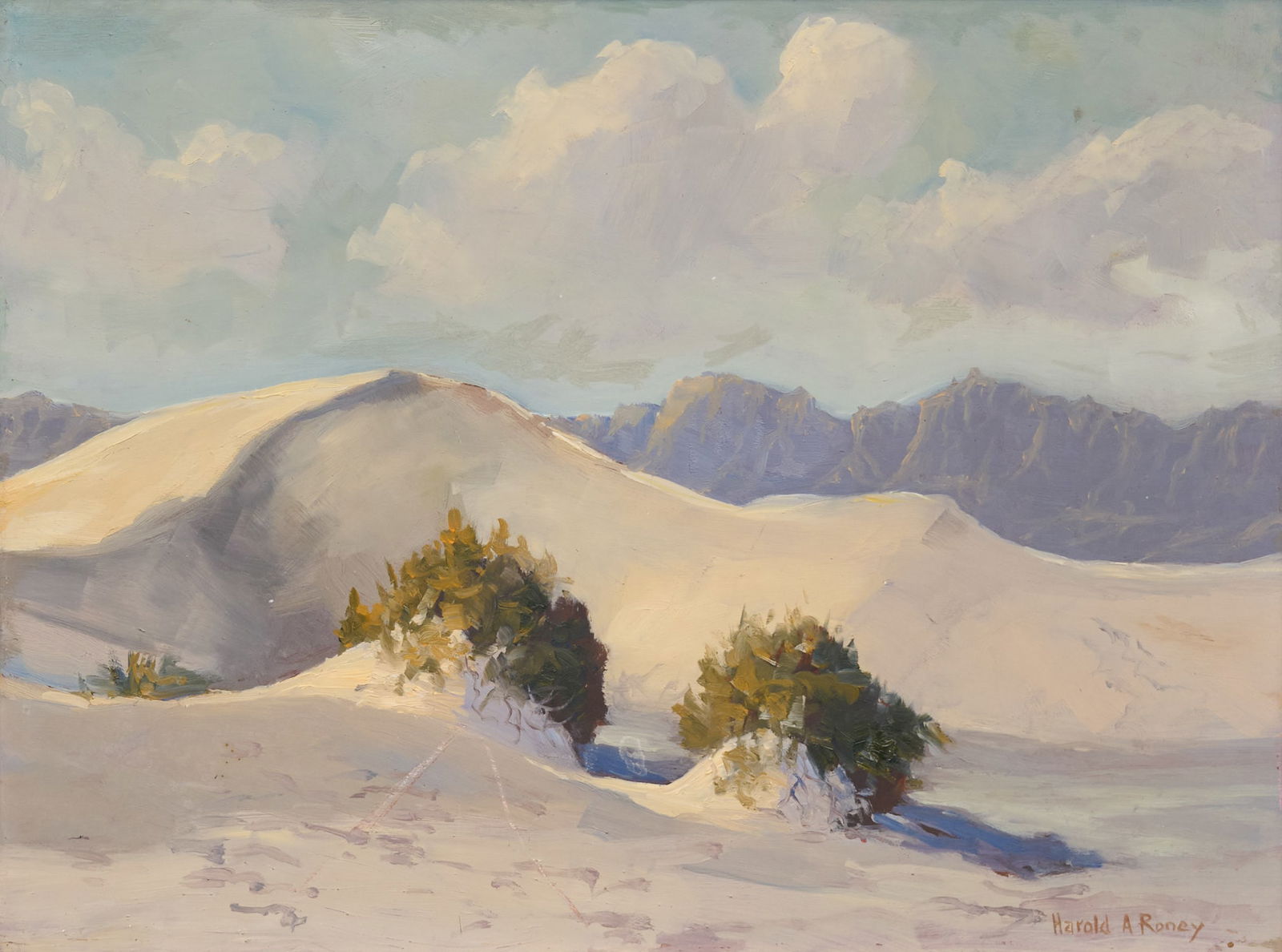 Harold Roney, White Sands Landscape (1 of 4)