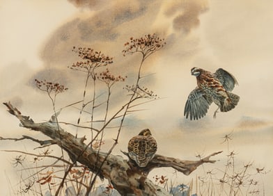 Clay McGaughy, Quails on Trunk