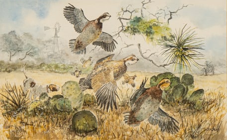 Janie Halbrook, Quail