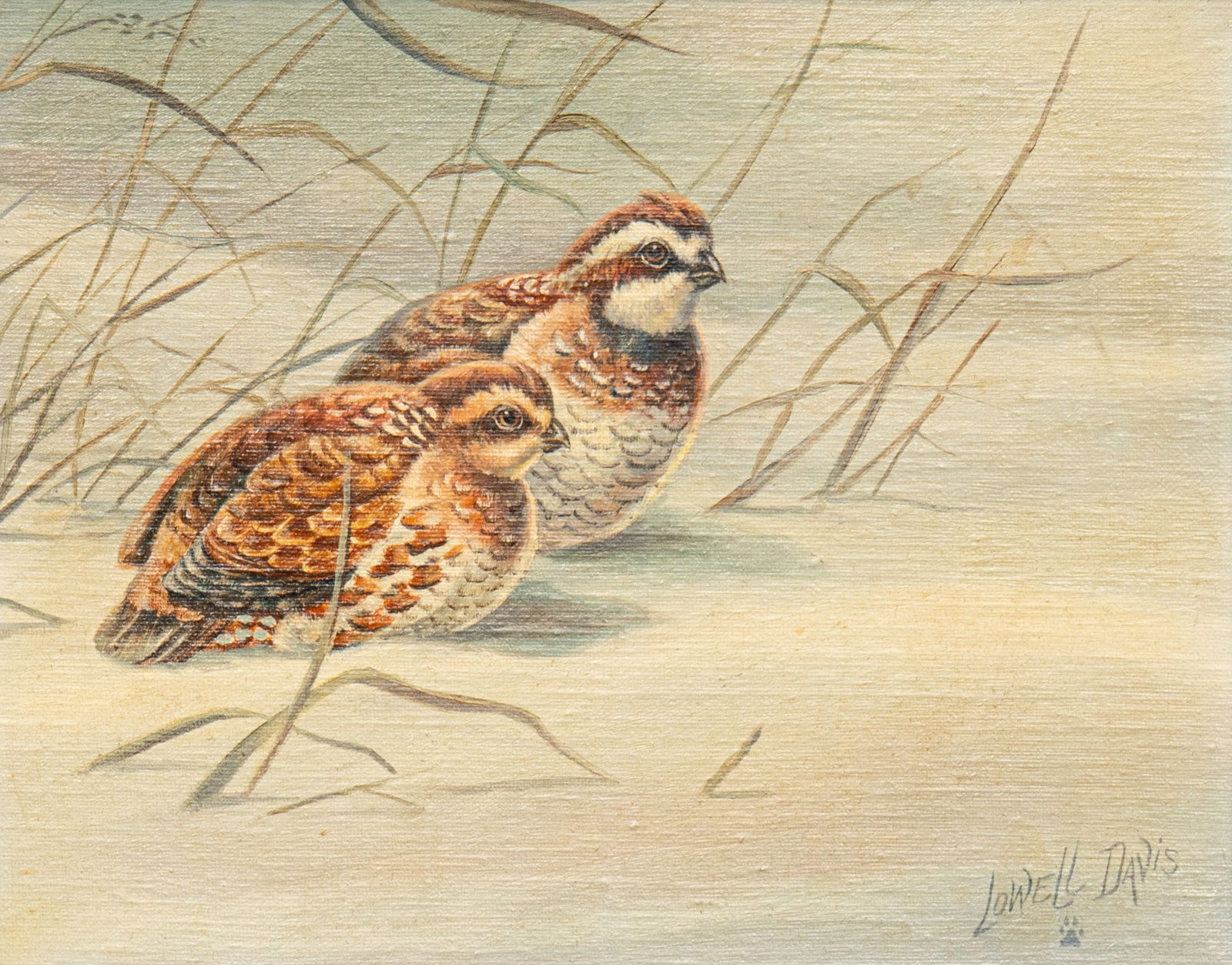 Lowell Davis, Quail in Snow (1 of 5)