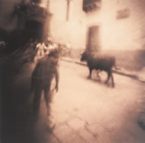 Bull on Street, Signed Bill Wittliff Photograph