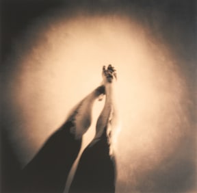 Legs, Bill Wittliff Photograph