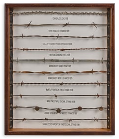 Framed Barbed Wire Display
