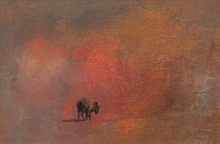 John Axton, Lone Buffalo