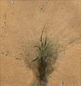 Gibbs Milliken, "Symbol of Growth"