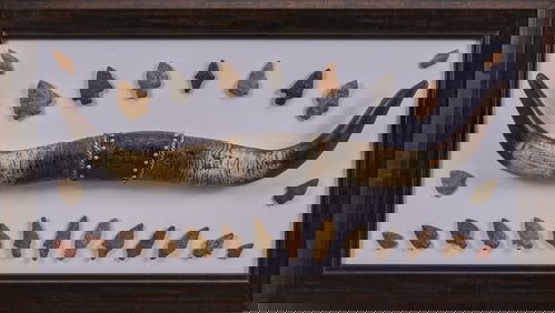 Framed Arrowheads with Faux Steer Horns