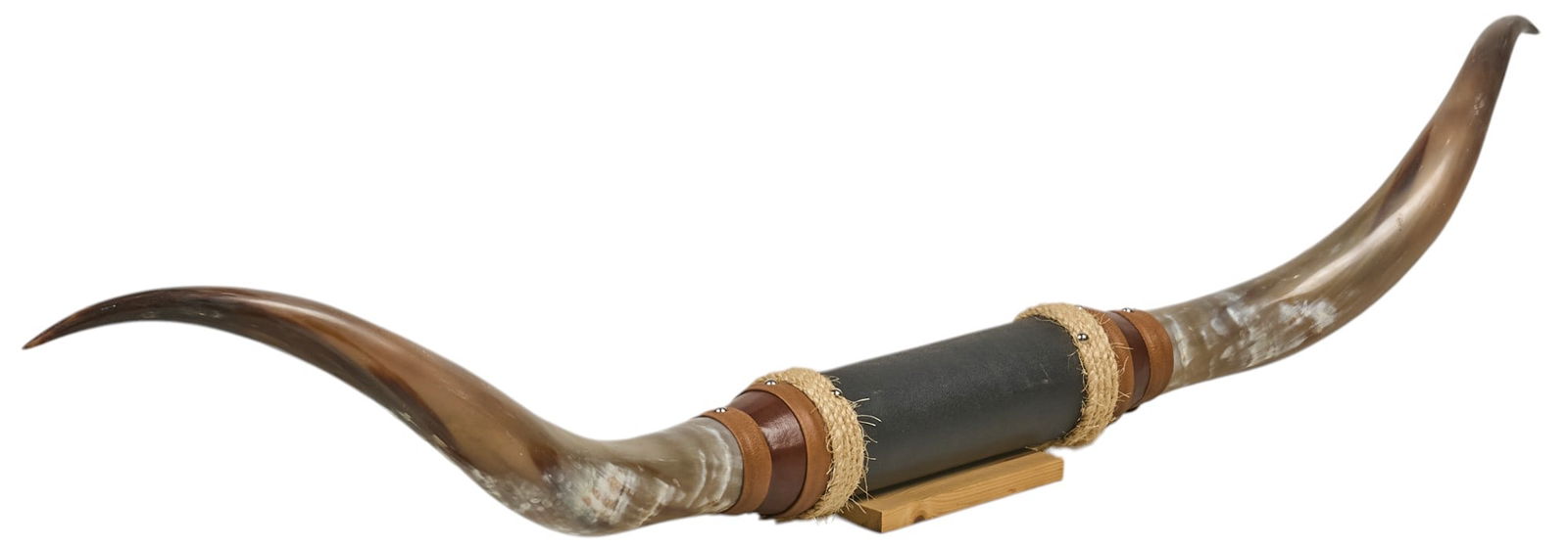 Longhorn Wall Mount (1 of 3)