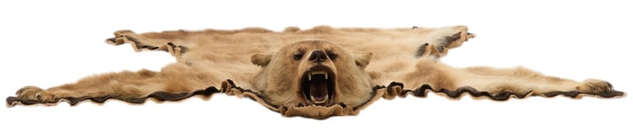 Cinnamon Bear Rug