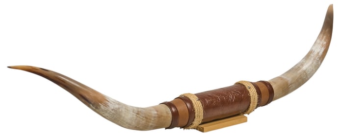 Longhorn Wall Mount