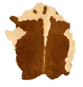 Cowhide Rug, 5 ft. 9 in.Â x 5 ft. 8 in.