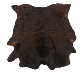 Brown Bearskin Rug, 7 ft x 6 ft 4 in.