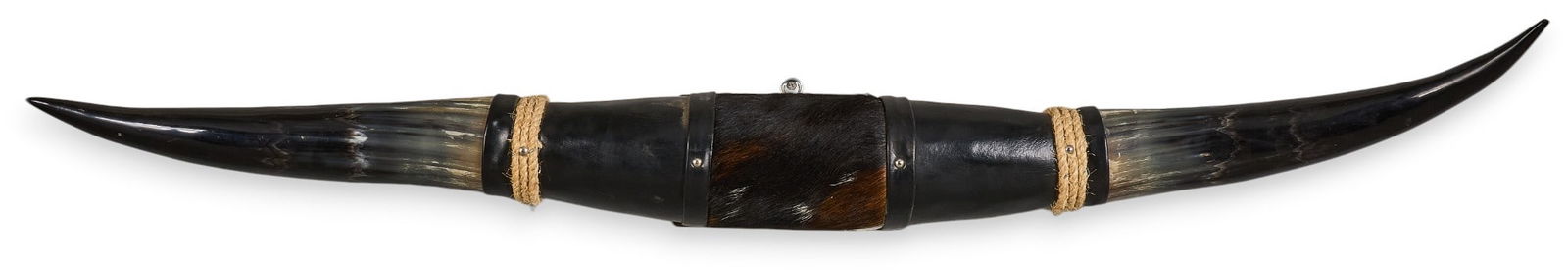 Steerhorn Display (1 of 6)