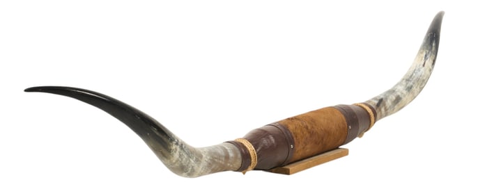 Steer Horn Mount