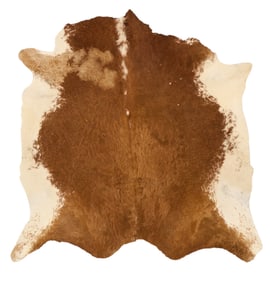 Cowhide Rug, 6 ft.Â x 6 ft. 3 in.