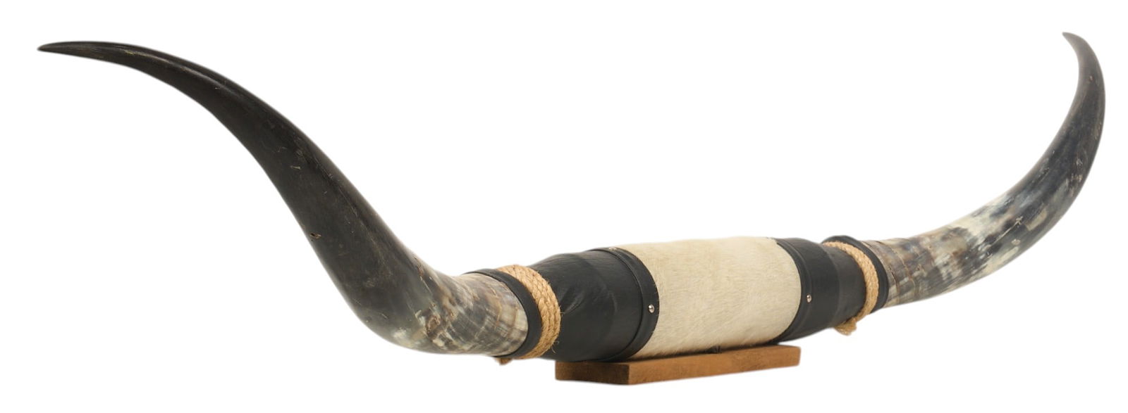 Steerhorn Mount (1 of 4)