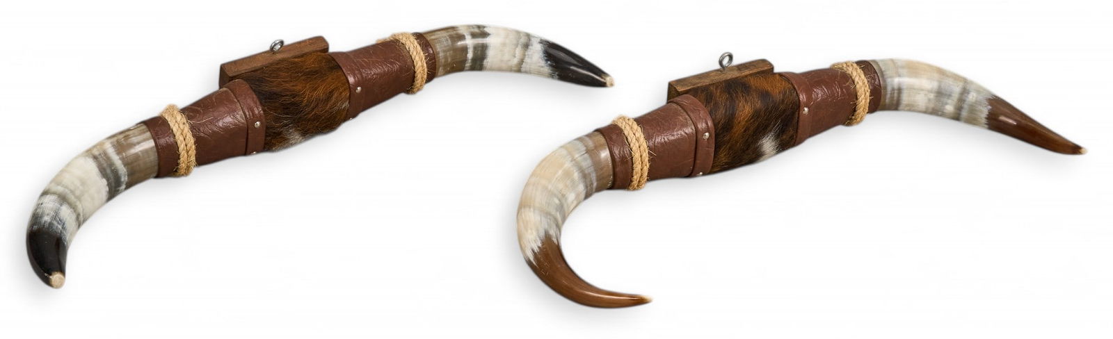 Pair of Small Steerhorn Displays (1 of 5)