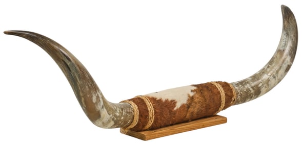 Longhorn Mount