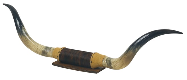 Large Longhorn Mount