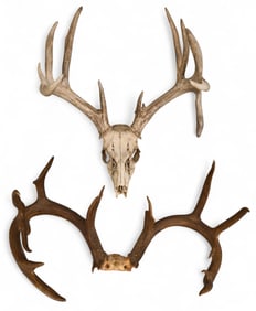 (2) Pairs of Antlers