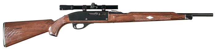 Remington Nylon 66 22 LR Semi Auto Rifle