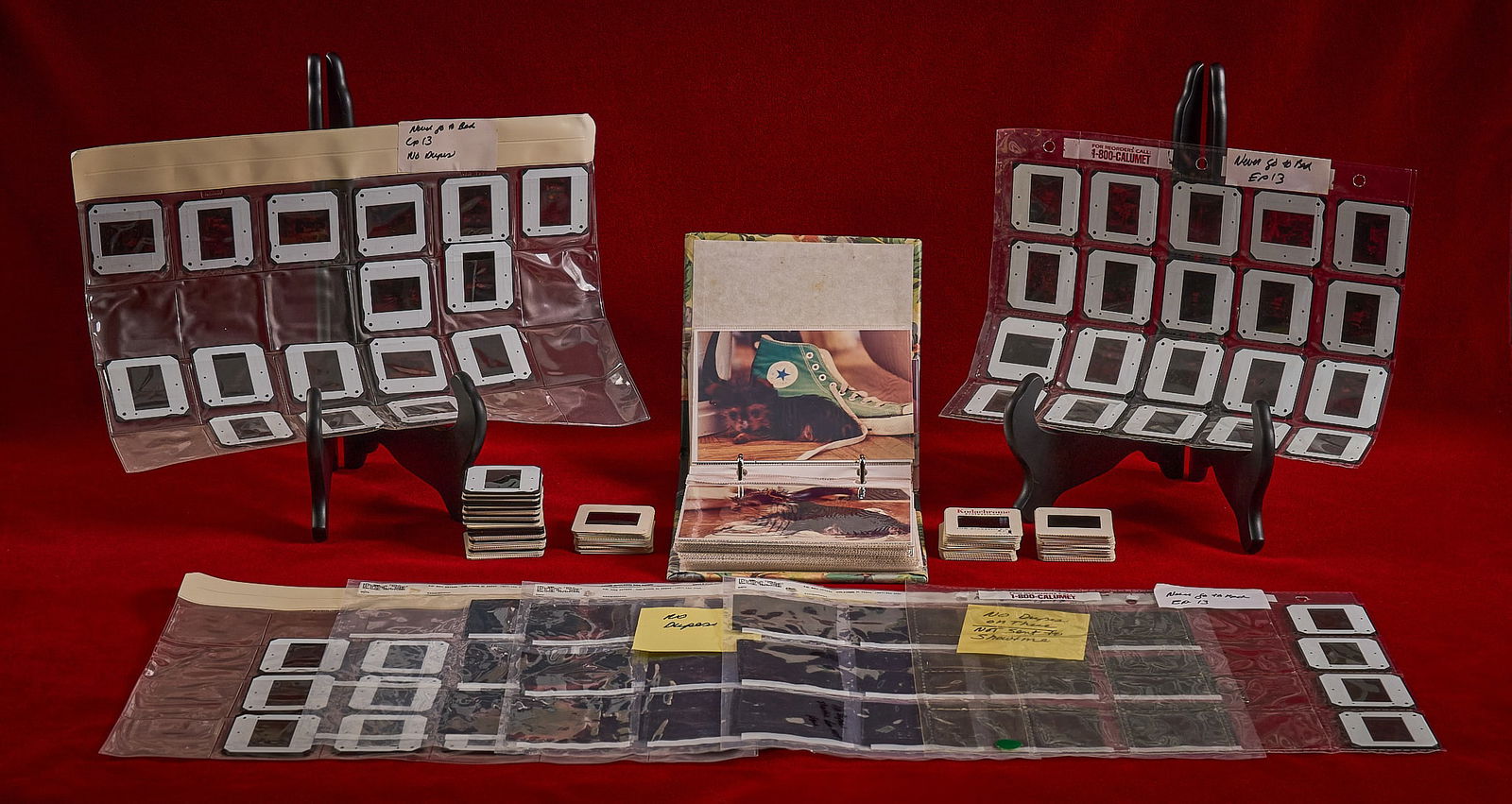 Shelley Duvall | Photographs: Large collection of Shelley Duvall's personal photographs, largely 35mm photographic slides, portraying a range of subjects, including photos of Shelley Duvall, as well as her pets, also includes