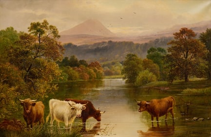 J. D. Morris, Highland Cows