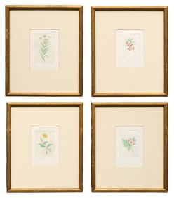Sandy Scott, (4) Botanical Etchings