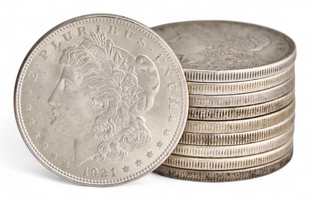 (10) Morgan Silver Dollars