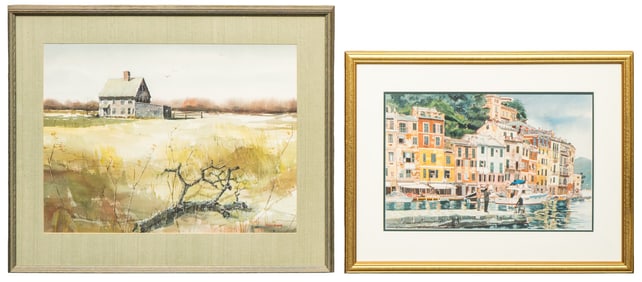 (2) Decor Watercolors