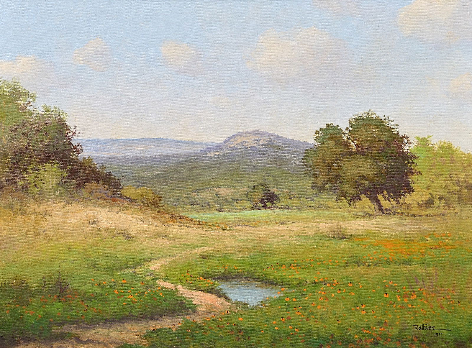 Jerry Ruthven, Hill Country Wildflowers, 1977 (1 of 5)