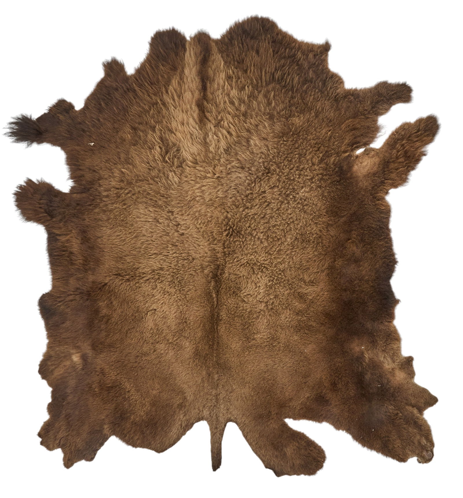 Buffalo Hide (1 of 3)