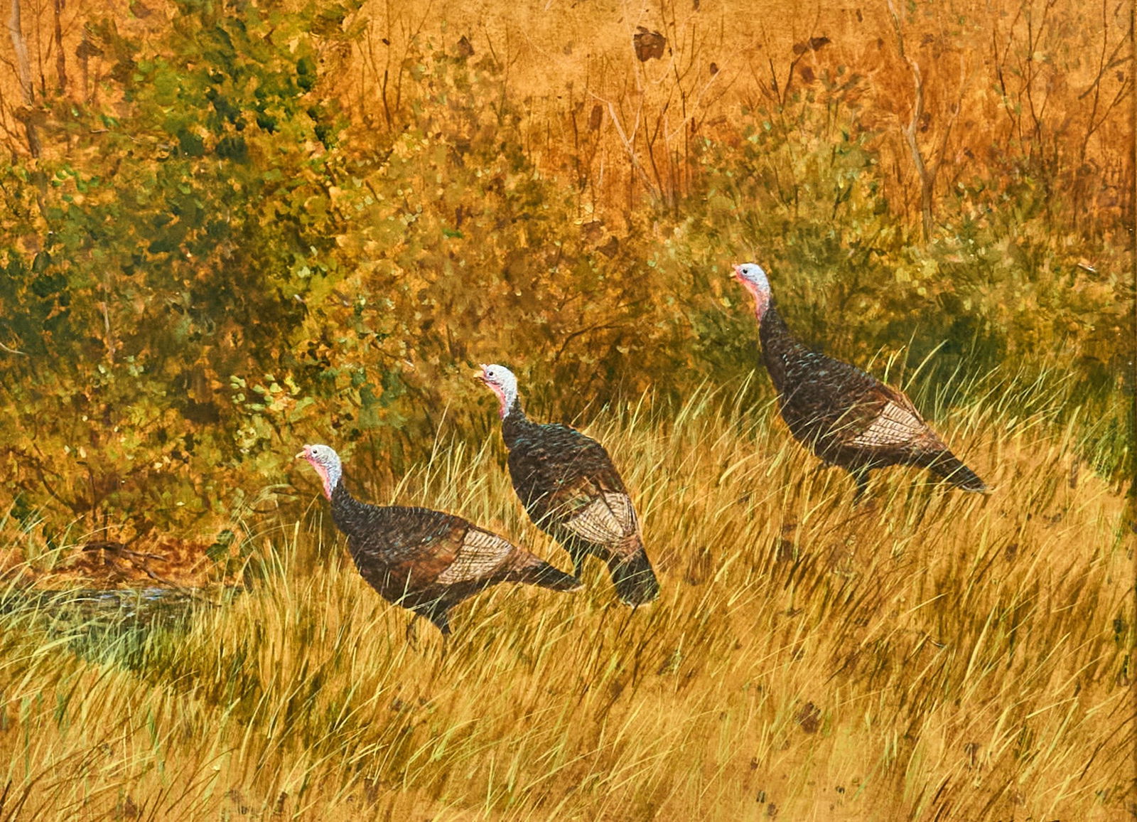 Geraldine Nunns, Turkeys: Geraldine Hudnall Nunns (Arkansas, 1930-2021), turkeys in brush at edge of woods, acrylics on mulberry paper, signed lower right sight: 12 x 16 in., frame: 18 x 22 in. Provenance: Property from a