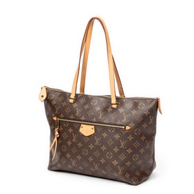 Louis Vuitton Iena MM Shoulder bag
