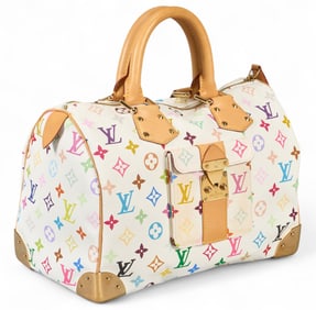 Louis Vuitton Multicolor Speedy 30 Handbag