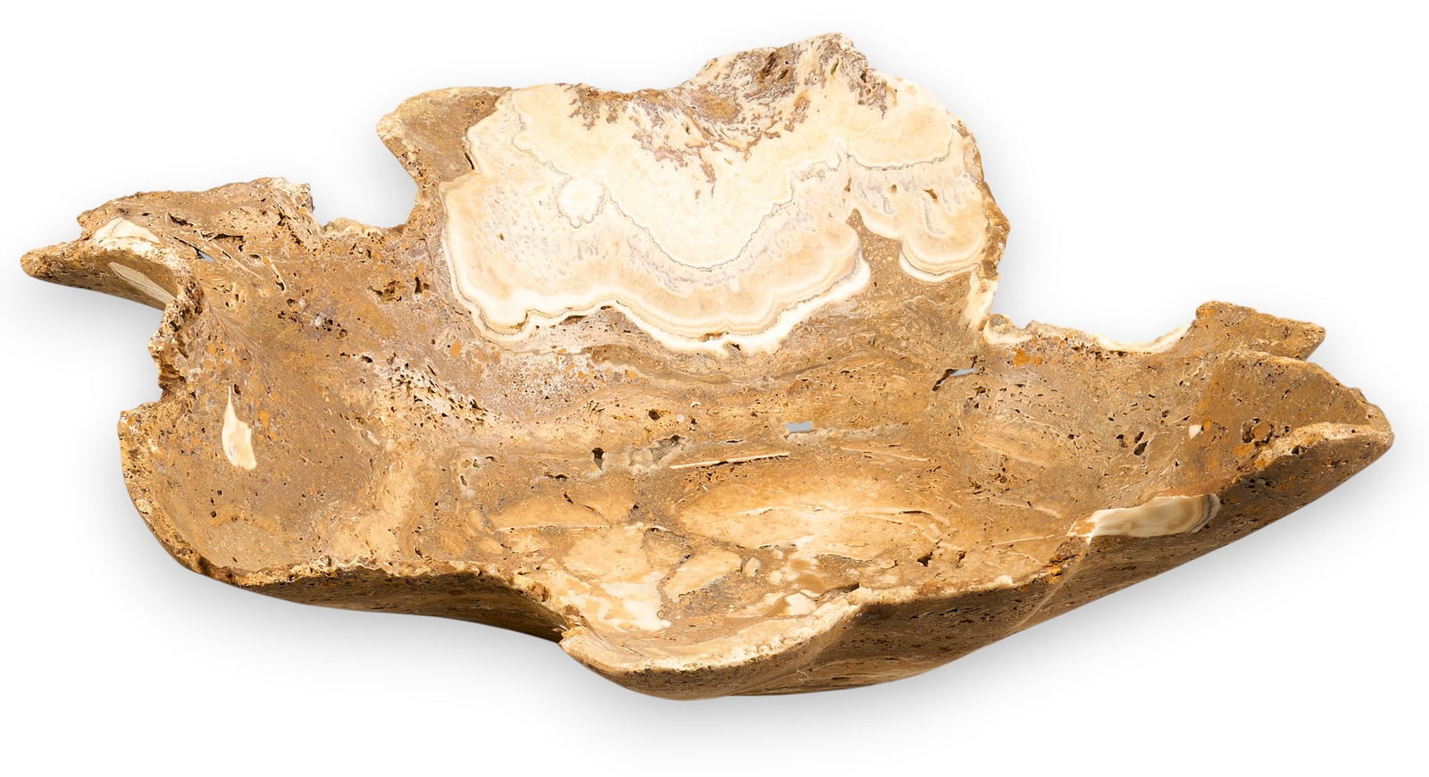 Large Onyx Fossil Bowl: Large onyx fossil bowl with organic freeform shape, ruffled edges, fossil inclusions, and mineral variations throughout stone height 8 in. x width 27 in. x depth 22 in. Provenance: Property from