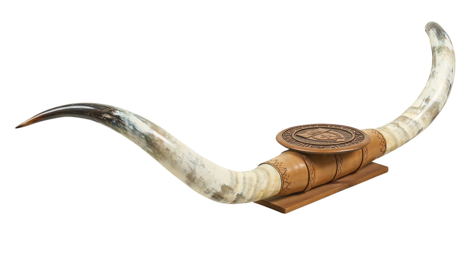 University of Texas Seal Longhorn Mount: Longhorn mount featuring the University of Texas' seal carved in Texas pecan wood height 15 in. x width 74 in. x depth 17 in. Provenance: Property from a home in Wimberly, Texas