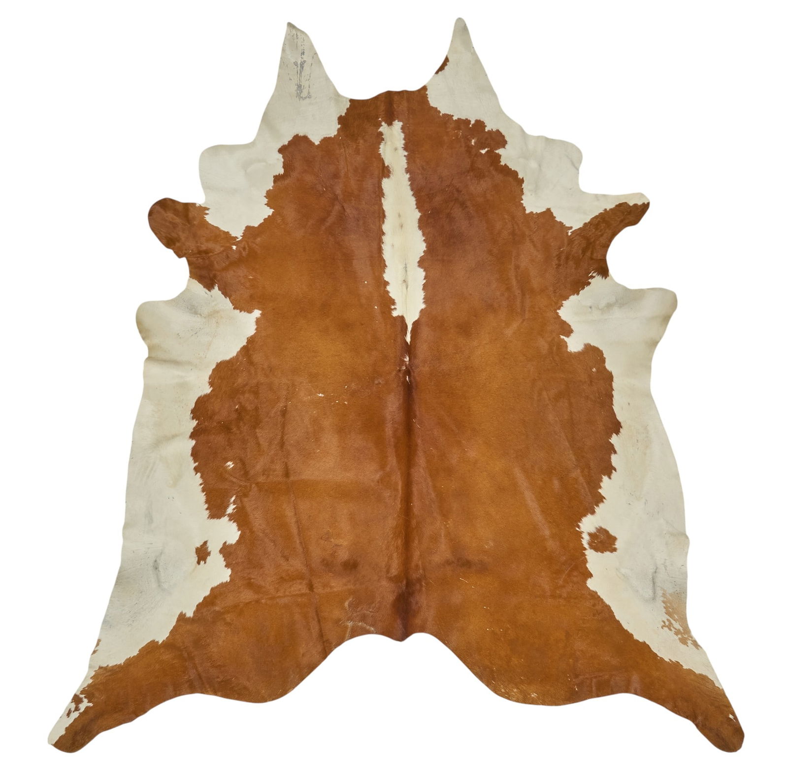Longhorn Hide Rug, 8 ft. 4 in. x 7 ft. 4 in.: Orange and white longhorn hide rug8 ft. 4 in. x 7 ft. 4 in.Provenance: Property from a Wimberley, Texas art and antiques collector